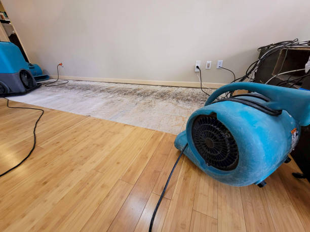 Professional Water Extraction technician working in Wellston, MI
